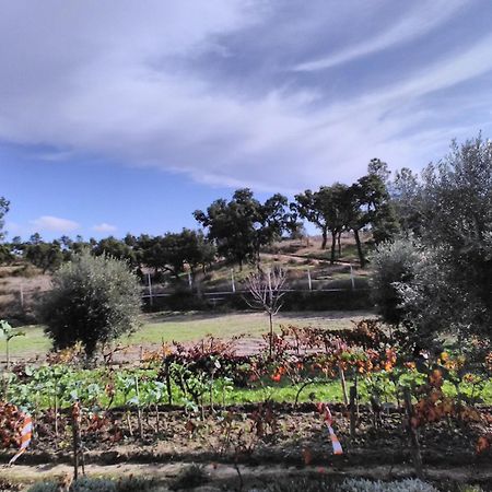 Monte Familia Ferreira Hotel Vale de Acor ภายนอก รูปภาพ