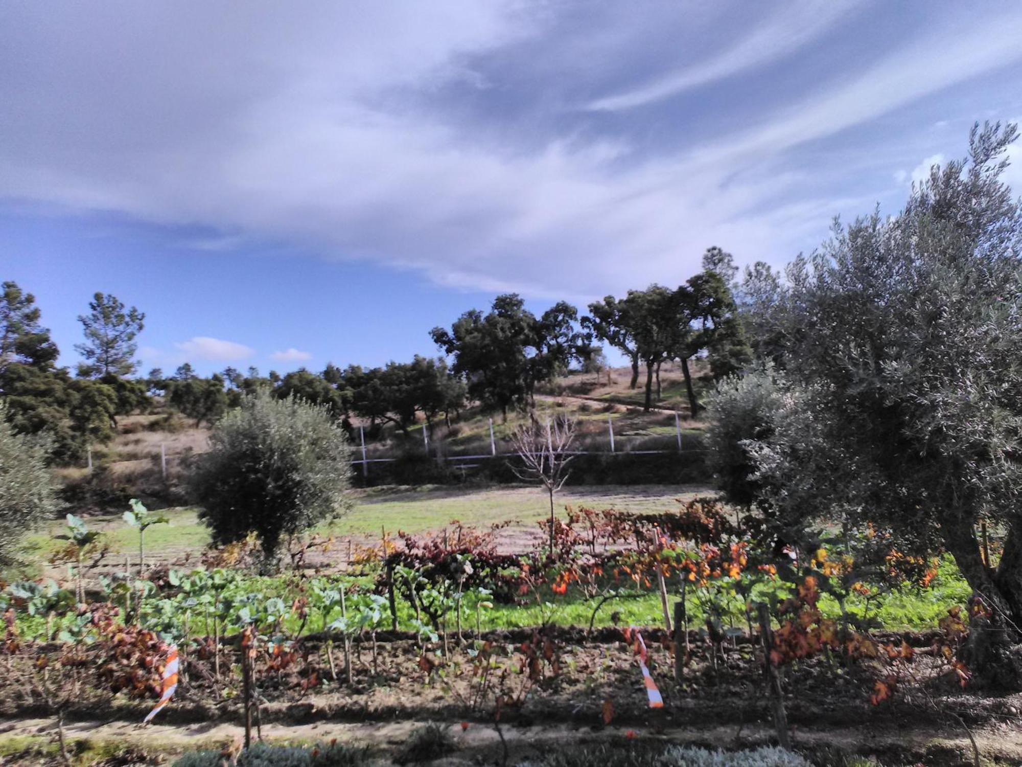 Monte Familia Ferreira Hotel Vale de Acor ภายนอก รูปภาพ